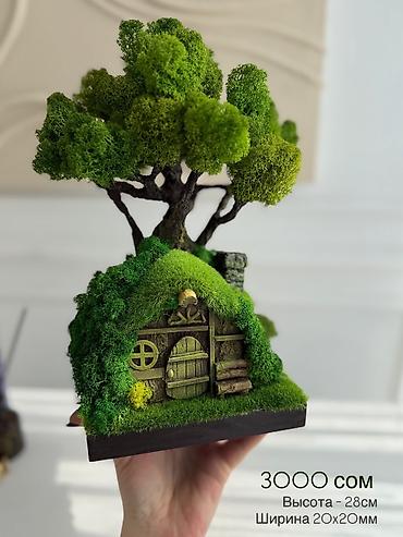 Декоративные цветы: Бонсай ручной работы из натурального стабилизированного мха от 1500 — 47