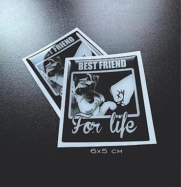 smart multimedija: Best friend for Life - Pas najbolji prijatelj -Stikeri- 2715 📌 Opis — 2
