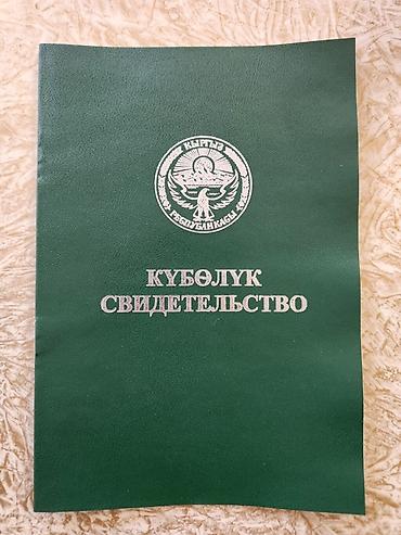 ысык куле: 101 соток — 1