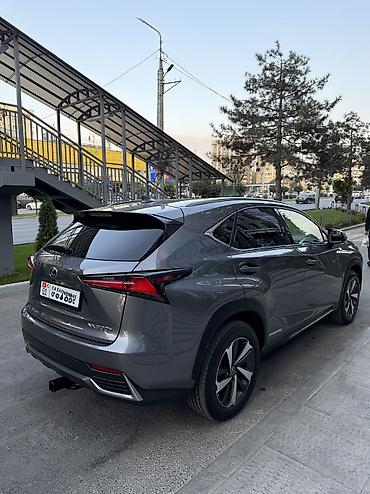 Lexus: Lexus NX: 2020 г., 2.5 л, Вариатор, Гибрид, Кроссовер — 4