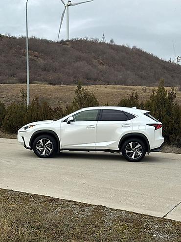 Lexus: Lexus NX: 2021 г., 2 л, Автомат, Бензин, Кроссовер — 6