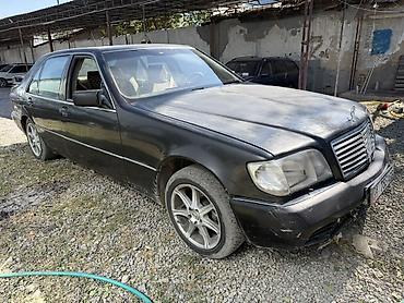 мэри: Mercedes-Benz S-Class: 1993 г., 3 л, Механика, Дизель, Седан — 1