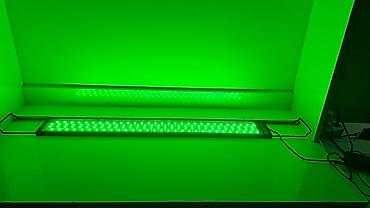 LED lampalar: İşlənmiş, LED lampa, Zəmanətsiz — 5