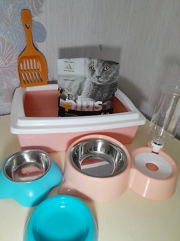pişik su qabı: Pişik üçün 2 ci el tam aksesuar dəsti Dəst tərkibi: - Qum qabı (üst — 1