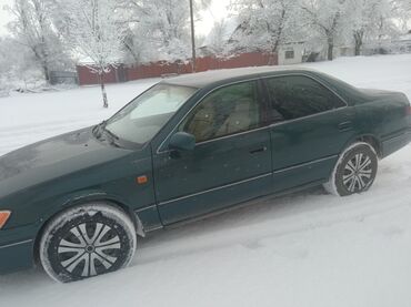 тайота v8: Toyota Camry: 1999 г., 3 л, Автомат, Бензин, Седан