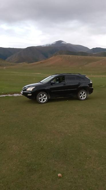 rx330 rx400: Lexus RX: 2003 г., 3.3 л, Автомат, Газ, Кроссовер — 1