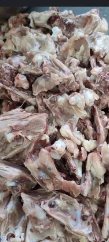 продаю мясо: Продаю куриные косточки оптом 15 сом 
1 кг