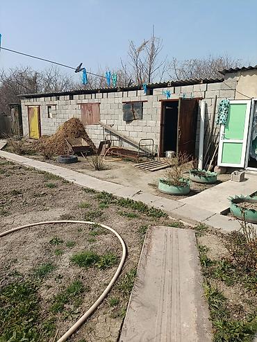 Распашные ворота: Продаю дачу с.Дмитриевка есть все условия для проживания вода сарай — 10