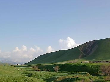 ферма скотник: Farm КРС, 50 соток, Действующий, Без оборудования, Электричество, Холодная вода — 7