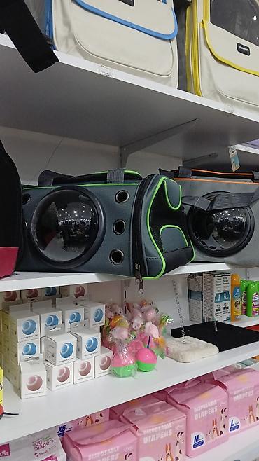 Pişiklər: Erkək, Pulsuz çatdırılma — 19