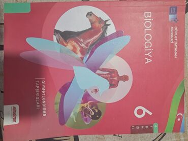 упражнения по математике 4 класс намазов: Məhsul: “Biologiya – Qiymətləndirmə Tapşırıqları” (6-cı sinif)