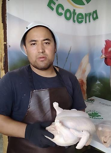 печень: Курица и индейка Ecoterra — тушка и субпродукты - Курица: тушки — 3