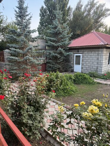 дом на исык куле: Номер, уют Балыкчы, Детская площадка, Парковка, стоянка, Охраняемая территория
