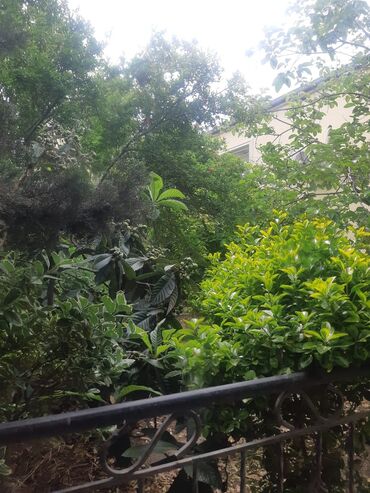 Həyət evləri və villaların satışı: Binəqədi qəs. 3 otaqlı, 120 kv. m, Kredit yoxdur, Orta təmir — 16