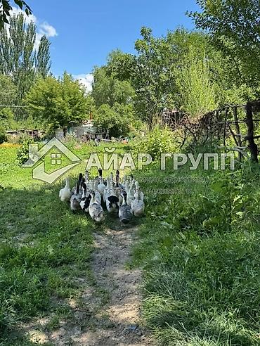 3 микр: 3 КВАРТИРЫ С БОЛЬШИМ ПРИУСАДЕБНЫМ УЧАСТКОМ КАРАКОЛ 📍 Совхоз Каракол — 9