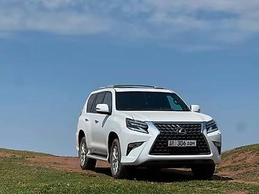 Решетки радиатора: Решетка радиатора Lexus 2023 г., Новый — 5