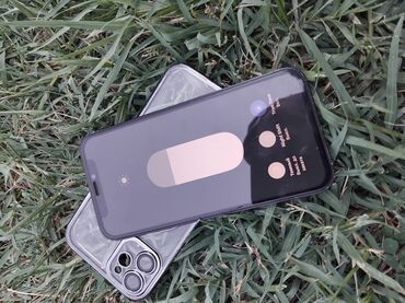 IPhone 12 mini, Qara