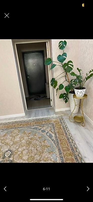 Долгосрочная аренда домов: 250 м², 6 комнат — 5