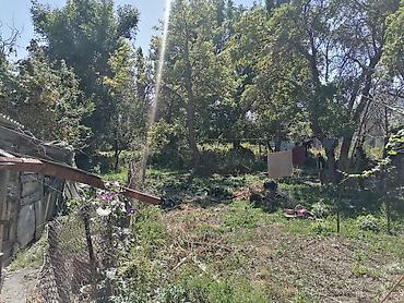 Продажа коттеджей и домов: Продается дом в селе Сосновка по адресу Крупская 4 частично с — 1