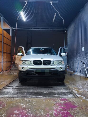 BMW: BMW X5: 2003 г., 3 л, Автомат, Бензин, Внедорожник