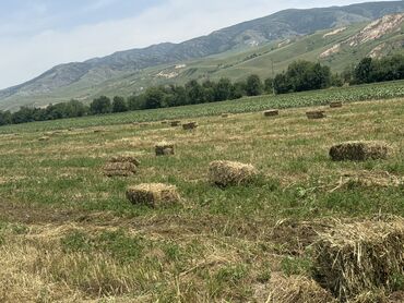 офисная одежда бишкек: Беде пресс сатылат срочно 250сом