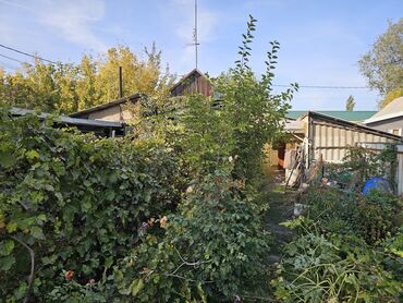 Продажа домов: Дом, 50 м², 4 комнаты, Собственник, Косметический ремонт — 11