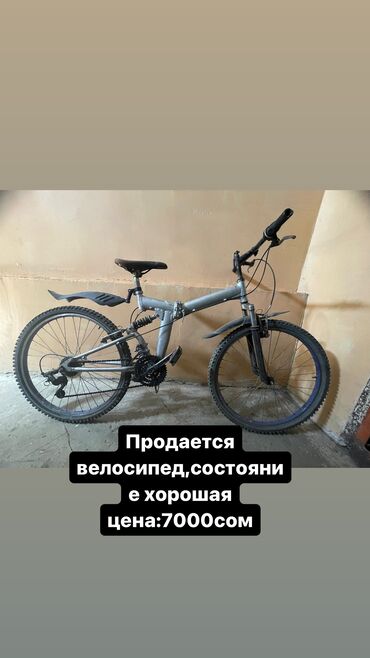 велосипеды panther: Велосипеды