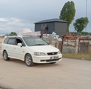 300 000: Honda Odyssey: 1999 г., 3 л, Автомат, Бензин, Минивэн — 3