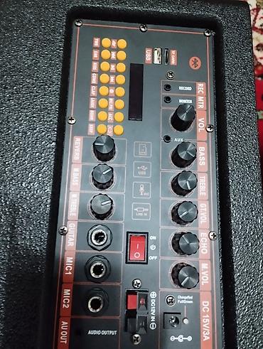 Динамики и колонки: Продаю новую малогабаритную, но тяжелую колонку, мощность 300 ватт. В — 2