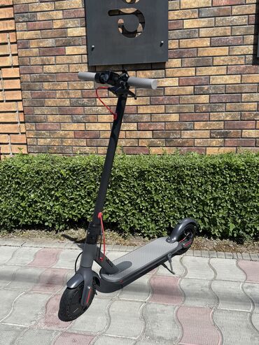 Электросамокаты: Электросамокат, Ninebot, Без рассрочки, Новый, Платная доставка, Самовывоз