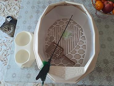 Зоотовары: Зоотовары. животные. Переноска номер 3размер 66.47.46 контейнер для at lalafo.kg — 9 Зоотовары: Зоотовары. животные. Переноска номер 3размер 66.47.46 контейнер для — 9