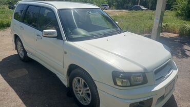 Subaru: Subaru Forester: 2004 г., 2 л, Автомат, Бензин, Внедорожник
