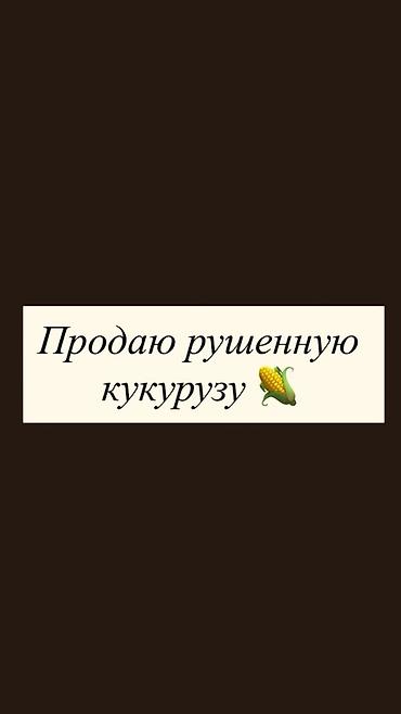 Корма для с/х животных: Рушеная кукуруза - Фракция: дроблёное зерно (подходит для кормления — 1