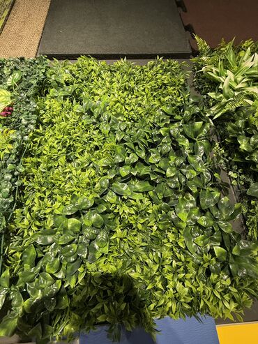 Süni qazon: Suni qazonarin ve dekorlarin topdan ve perekende satisi sifaris ucun -da lalafo.az — 5 Süni qazon: Suni qazonarin ve dekorlarin topdan ve perekende satisi sifaris ucun — 5