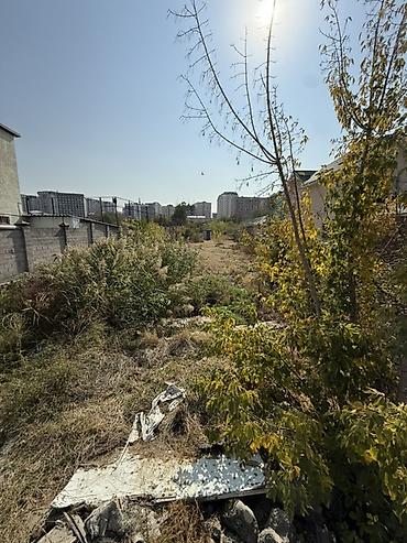 участок кара балта вознесеновка: 12 соток, Для строительства, Красная книга — 3