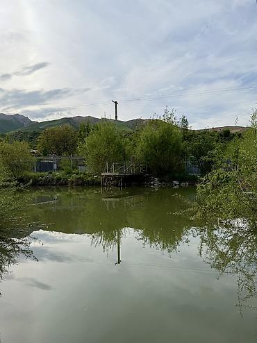 Продажа дач: Продаётся дача рядом с селом Горная Маевка(дачи Норус) площадь участка — 8