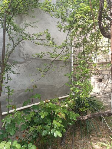 Həyət darvazaları: RT Arxasında körpüdən sağda 2 ci küçədə 2 mərtəbəli 8 otaqlı həyət evi -da lalafo.az — 24 Həyət darvazaları: RT Arxasında körpüdən sağda 2 ci küçədə 2 mərtəbəli 8 otaqlı həyət evi — 24