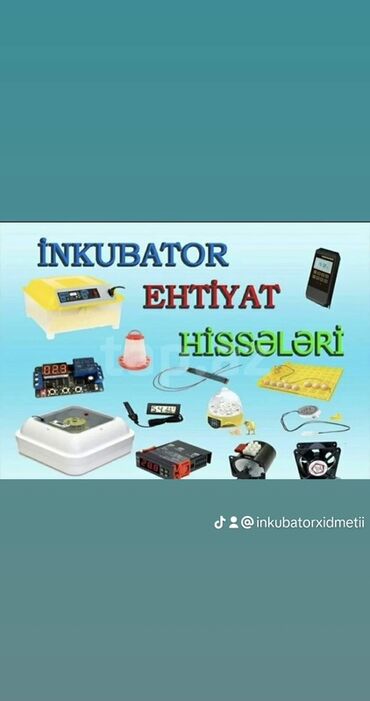 İnkubatorlar: İnkubator idarəetmə avadanlıqlarının zemanetlı satışı Her nov — 14