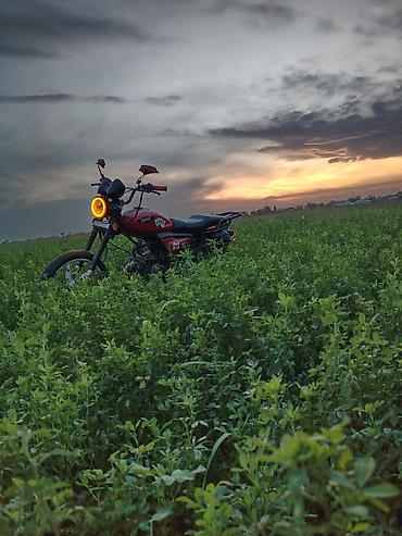 49 cc motor: Məhsul: Kross tipli yüngül motosiklet (qırmızı rəng) Xüsusiyyətlər və — 2