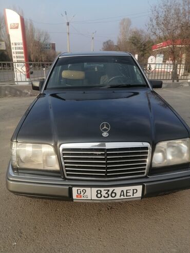 йешка 124: Mercedes-Benz 220: 1993 г., 2.2 л, Механика, Бензин, Седан