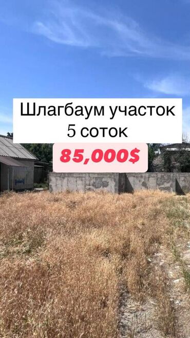 сасновка участок: 5 соток, Курулуш, Кызыл китеп, Техпаспорт, Сатып алуу-сатуу келишими