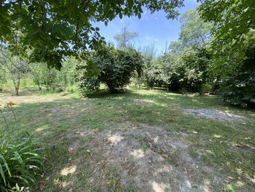 Torpaq sahələrinin satışı: Tikinti — 24