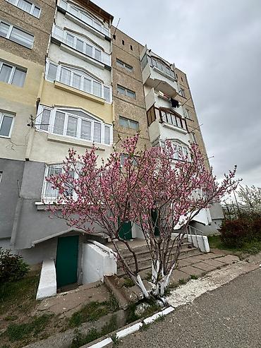 Продажа квартир: 1 комната, 40 м², 105 серия, 5 этаж, Евроремонт — 4