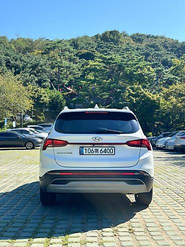 Hyundai: Hyundai Santa Fe: 2020 г., 2.2 л, Автомат, Дизель, Кроссовер — 8