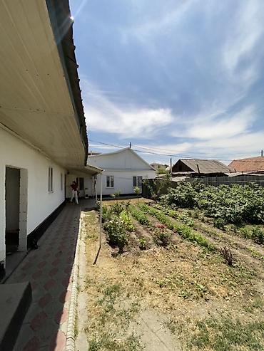 дордой дом продажа: 6 комнат и более, 5 м², 5 соток, Бишкек, Кудайберген авторынок Собственник — 6