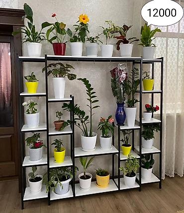 Тележки-органайзеры на колесах: Этажерки/стеллажи для комнатных растений - Дизайн: современные — 9