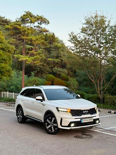 знаки: Kia Sorento: 2021 г., 1.6 л, Гибрид, Кроссовер — 2