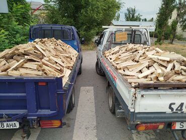 купить саженцы хвойных: Дрова Карагач, Платная доставка, Бесплатная доставка