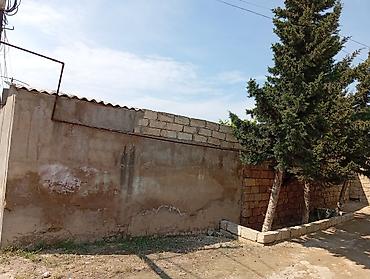 sumqayit 17 mkr: 5 sot, Tikinti, Mülkiyyətçi, Bələdiyyə — 3