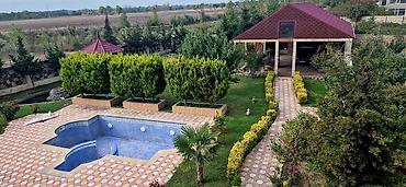 Bağ evlərinin kirayəsi: 500 kv. m, 8 otaq, Hovuzlu, Kombi, Qaz, İşıq — 10